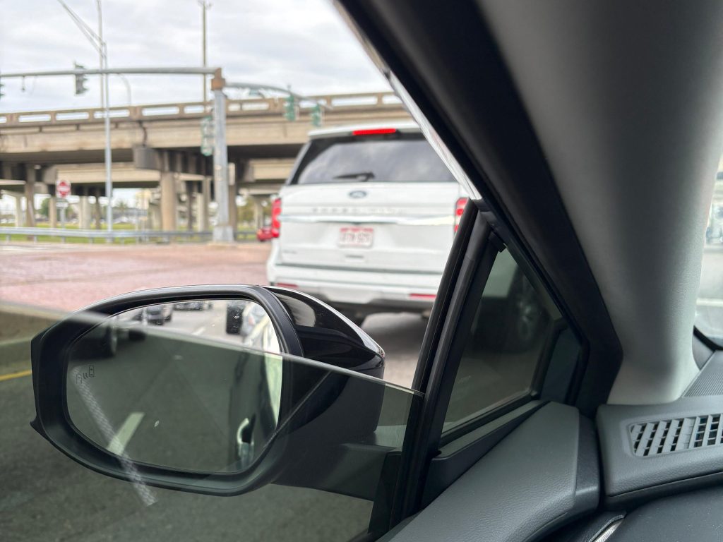 Catahoula-crunch-acitivy-kenner